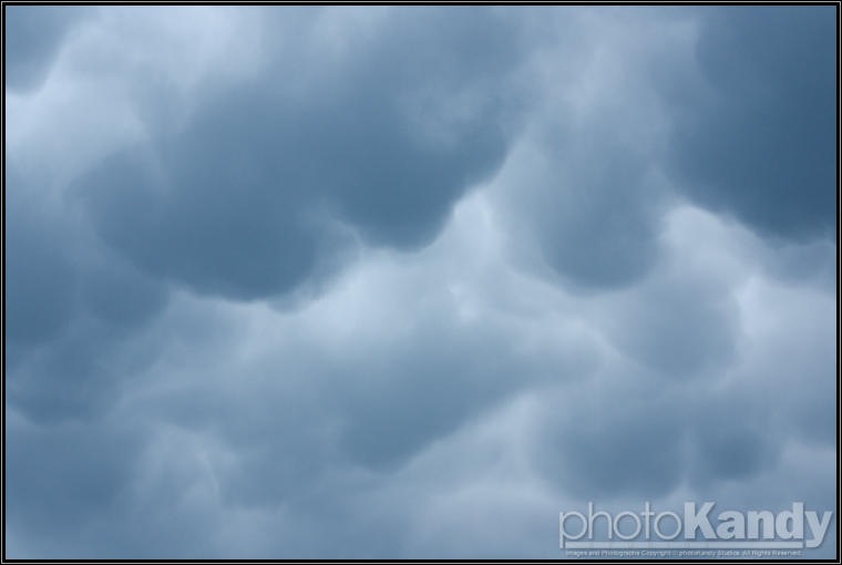 Storm_20090619 (11 of 49)