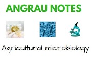 ANGRAU notes - Microbiology notes