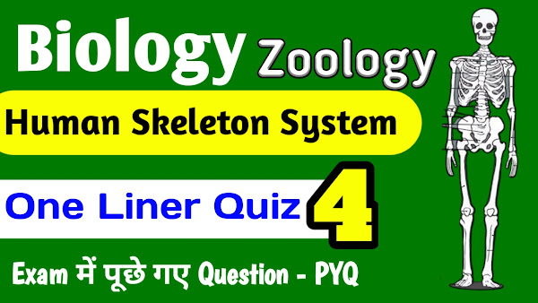 Human Skeleton System One Liner Questions