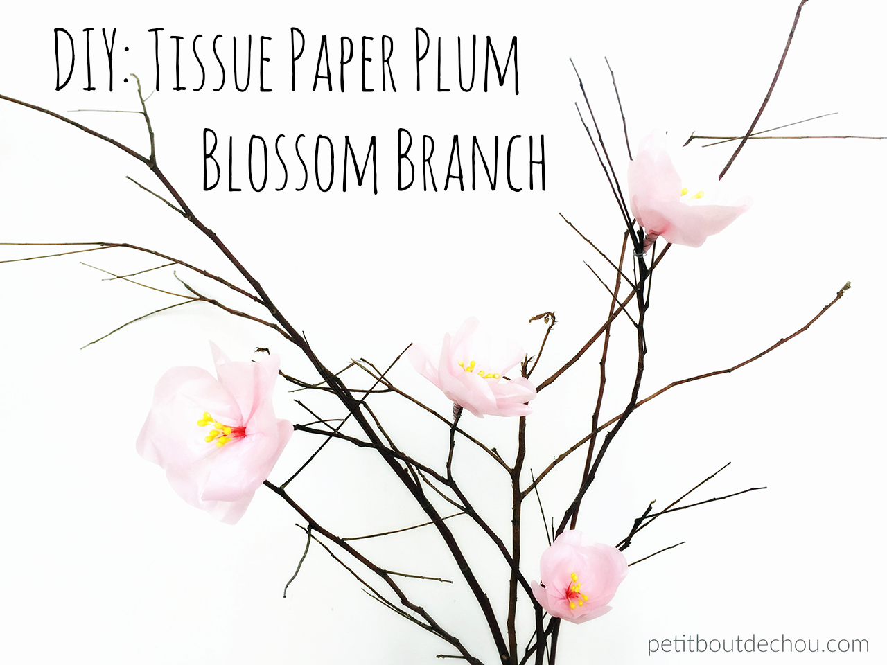 Diy Tissue Paper Plum Blossom Branch Petit Bout De Chou