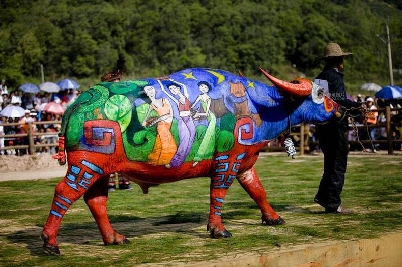 buffalo-bodypainting-4