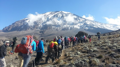 climb Kilimanjaro