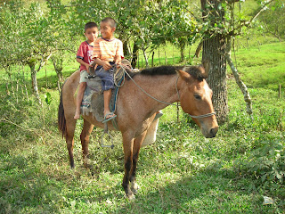 Honduran boys on horse