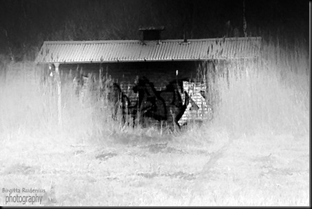 bw_20120429_graffiti