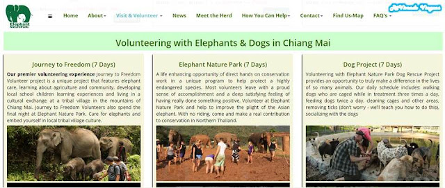 Programa de voluntariado no Elephant Nature Park