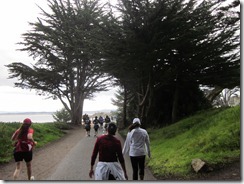 Big Sur 325