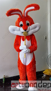 may mascot rẻ nhất toàn quốc