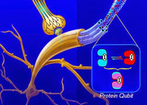 A Model For Quantum Consciousness