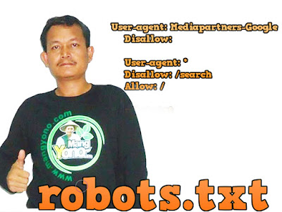 Cara setting Tag Tajuk Robot Khusus Atau Robot Header Tags di Blogger