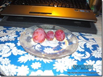 PICT0447