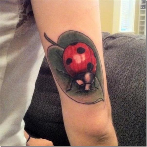 increble-mariquita-de-color-en-el-brazo