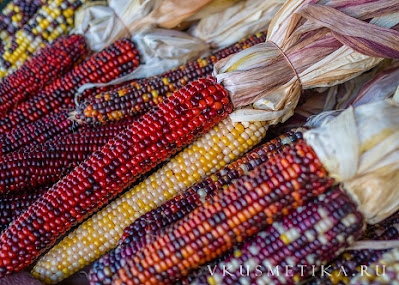 Разноцветные сорта кукурузы