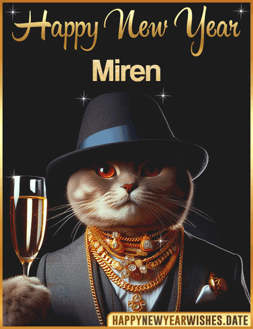 Happy New Year Cat Funny Gif Miren