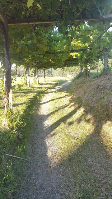 Segunda etapa del Camino de Santiago Inglés