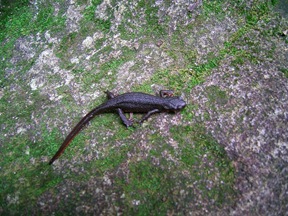GX_050803_032