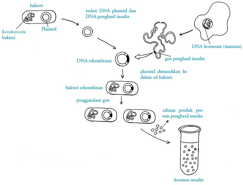 Bioteknologi Modern