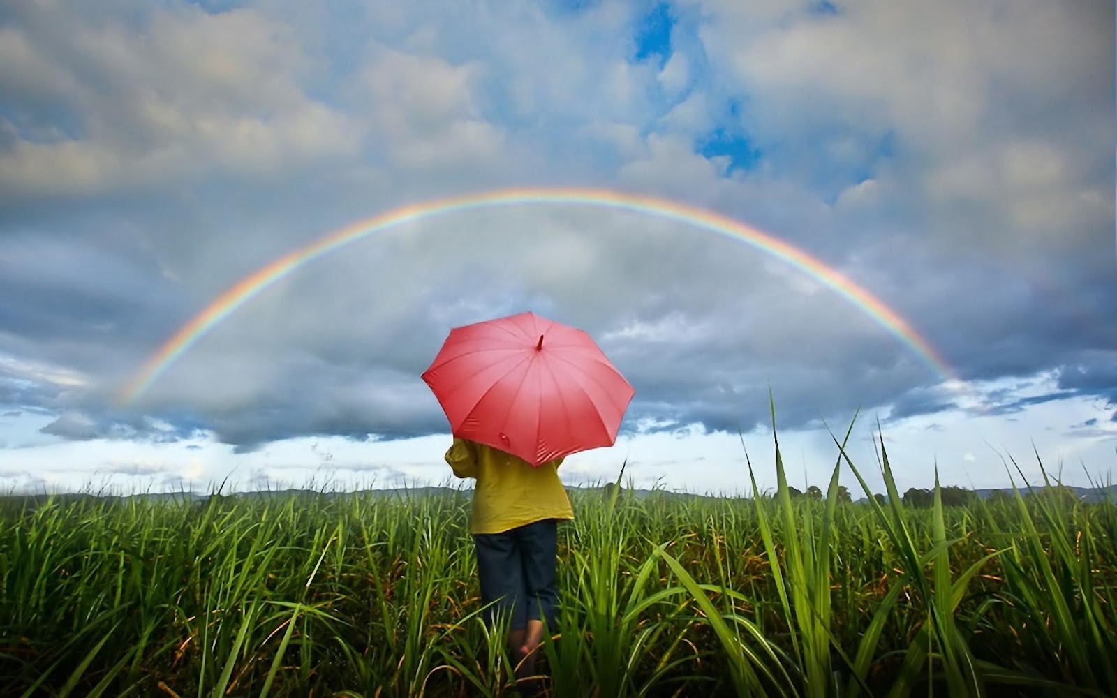 Gambar Pelangi Indah Lengkap Gambar Foto