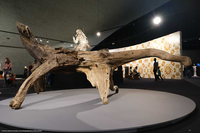 Obra do artista plástico chinês Ai Weiwei feita com raízes e troncos