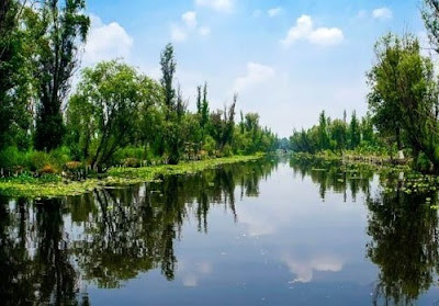 One of the Lake Xochimilco canals near Mexico City, Mexico.