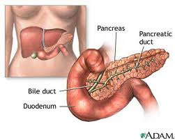 calcification of the pancreas