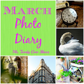 March Photo Diary  --- Ms. Toody Goo Shoes