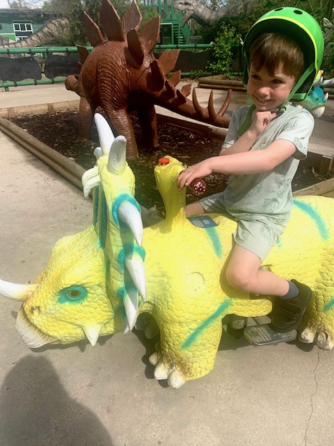 Boy in a helmet, riding a pretend triceratops