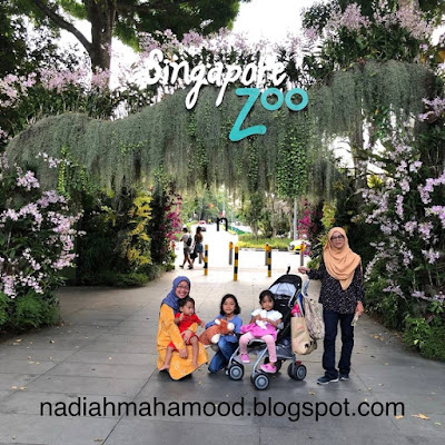 Intiniary Travel Singapore Bersama Anak Kecil