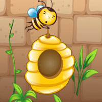 BIG Finding Honey Bee Nest