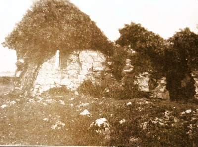 Kilmainham Friary, Laois