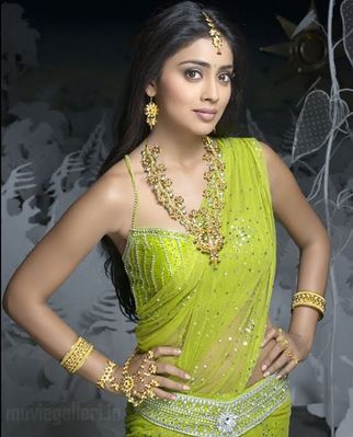 Image result for shriya saran nuvve nuvve pics