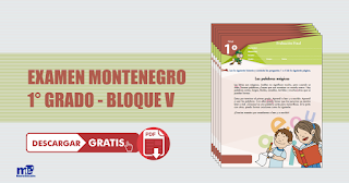 EXAMEN MONTENEGRO 1° GRADO - BLOQUE V