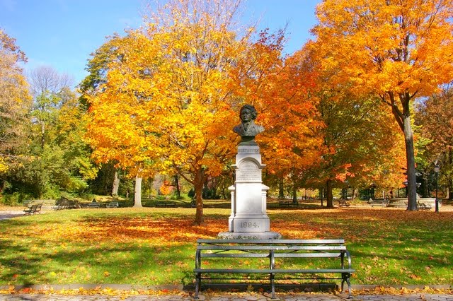 Walk In New York - Brooklyn - Automne Fall - Prospect Park -Statue de Beethoven