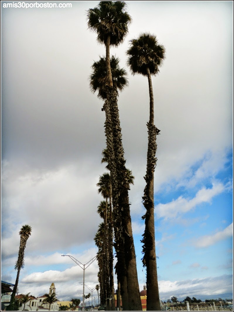 Santa Cruz, California