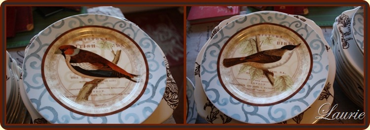 brd plates