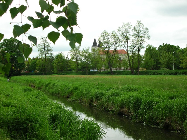 kościół, Babimost, trawa, liście