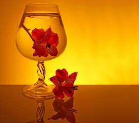 flowers-glass-of-water-images