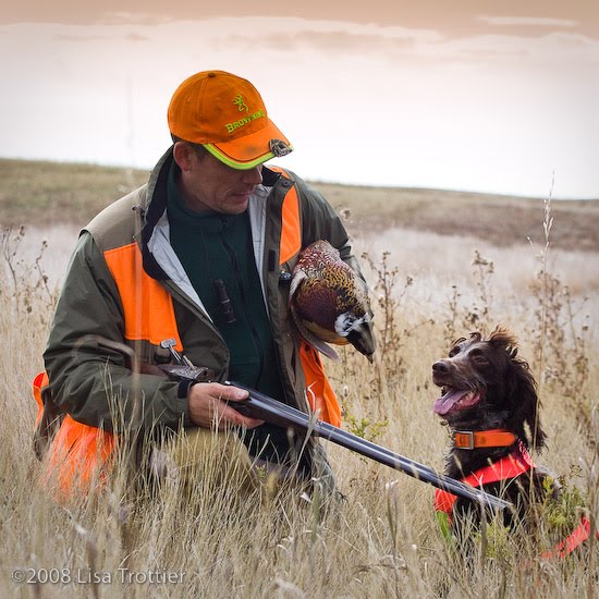 Curly Haired Dog Breeds. curly-haired quot;clown of the marshquot; named the Pont-Audemer Spaniel.