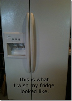 front of fridge copy