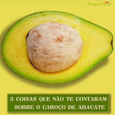 3 coisas que não te contaram sobre o caroço de abacate