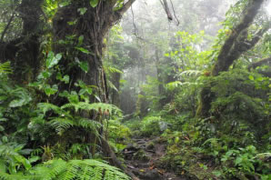 Paisagens Naturais da Costa Rica