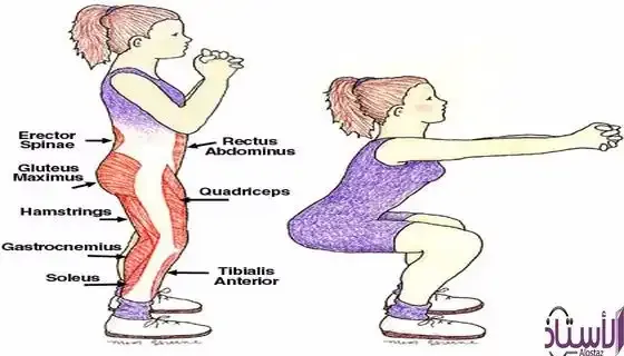 Benefits-of-the-squat-exercise