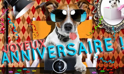 24+ Istimewa Anniversaire Chien Drole