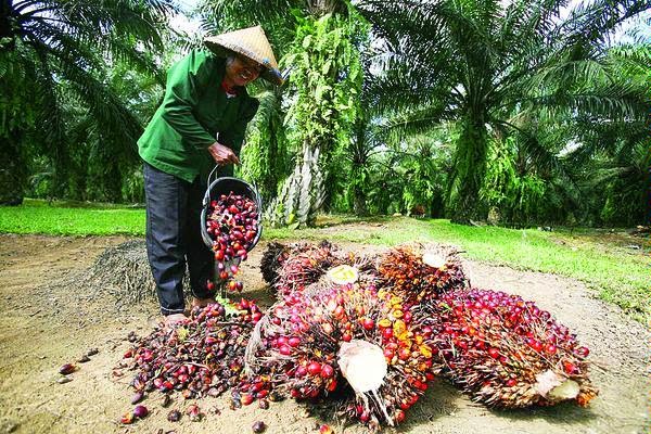 Golden motivasi sukses dan cerita inspiratif: Kisah-Kisah 