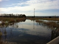 IMG_2054 (1024x765)