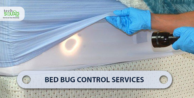 bed bugs treatment services in Bangalore