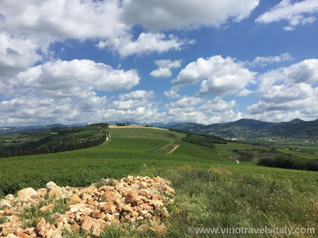 Valpolicella terroir