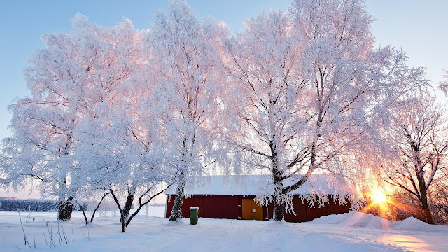 Beautiful Winter Landscape Snowy Trees House Sunlight HD Wallpaper