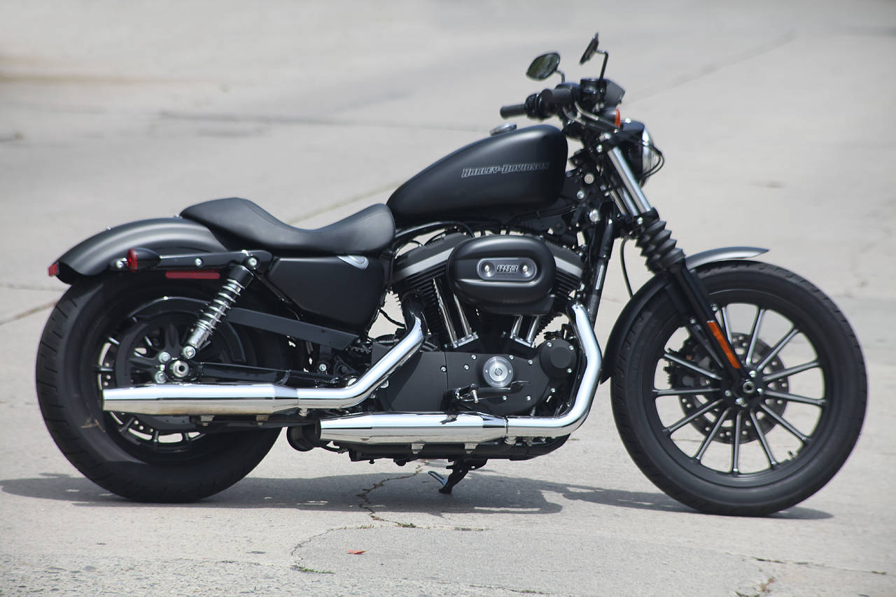 Harley Davidson iron 833, latest bike,2011,2012,2013 images, pictures 
