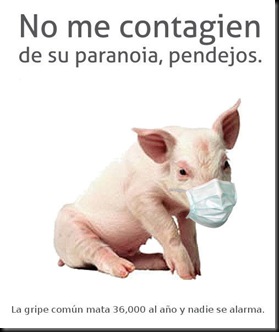 chancho