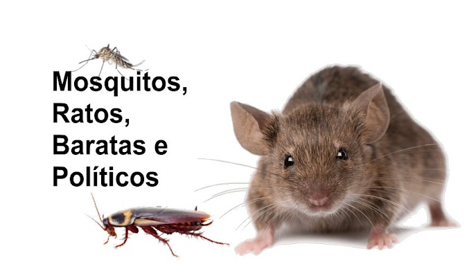 Mosquitos, Ratos, Baratas e Políticos